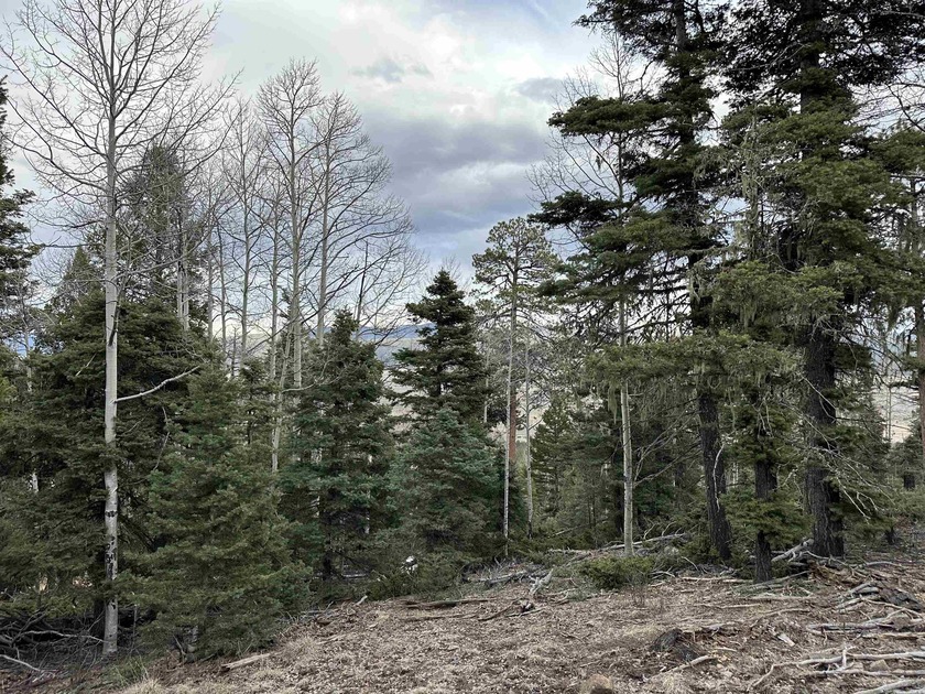 Tall pine, aspen and VIEWS make this 10 acre parcel in - photo 4