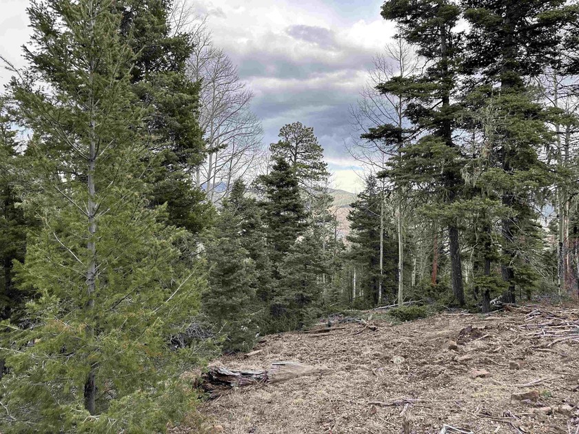 Tall pine, aspen and VIEWS make this 10 acre parcel in - photo 5