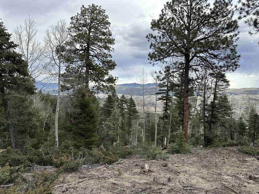 Tall pine, aspen and VIEWS make this 10 acre parcel in - photo 7