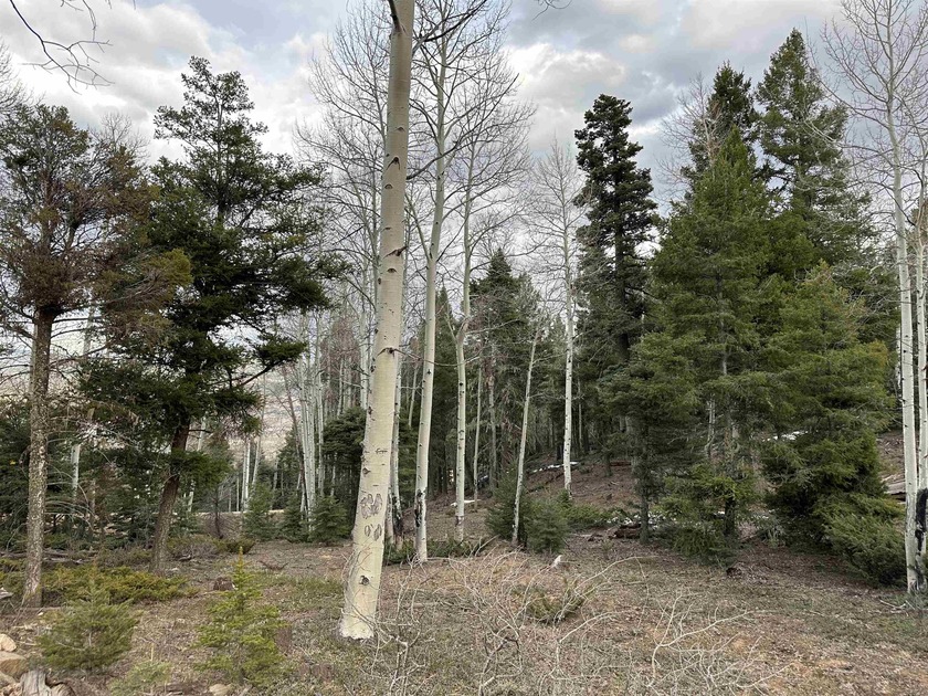 Tall pine, aspen and VIEWS make this 10 acre parcel in - photo 8