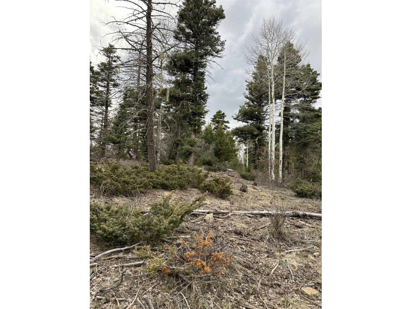 Tall pine, aspen and VIEWS make this 10 acre parcel in - photo 9