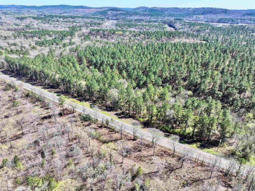 13.02+/- acres located off Highway 70 near Kirby, AR, outside - photo 2