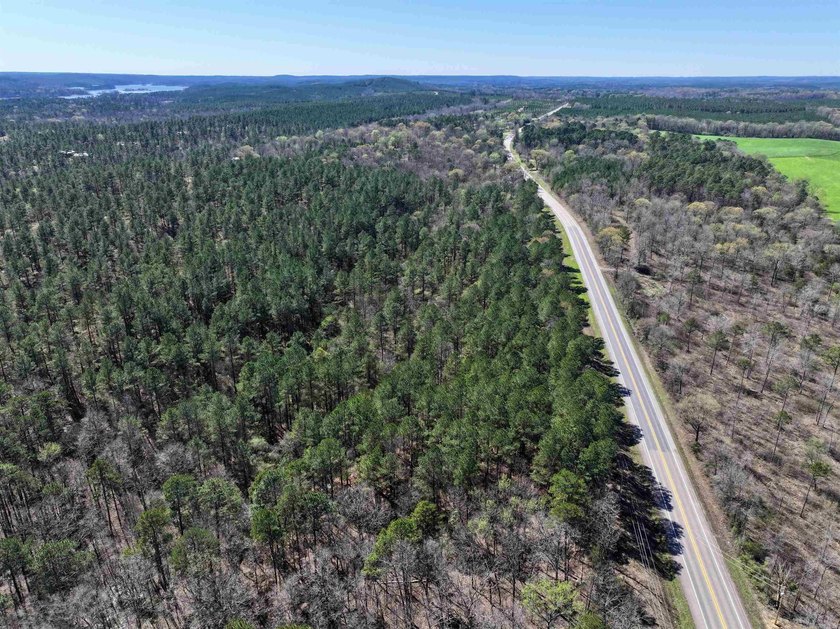13.02+/- acres located off Highway 70 near Kirby, AR, outside - photo 3