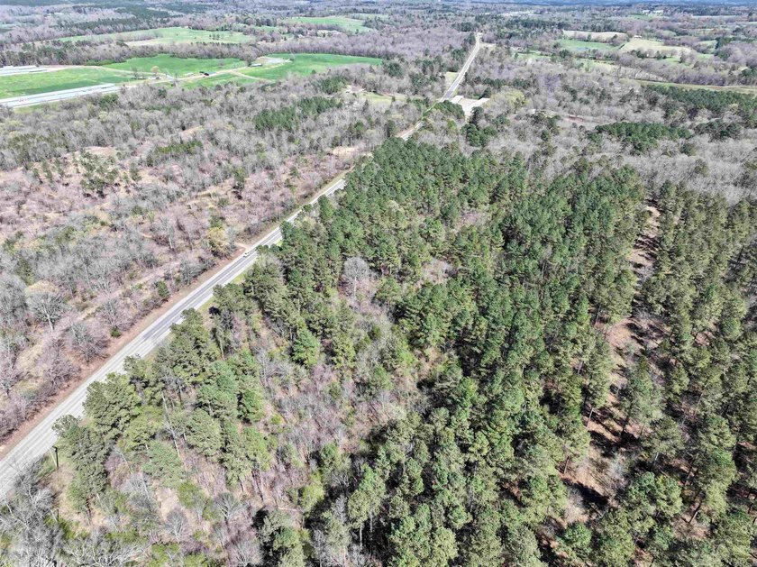 13.02+/- acres located off Highway 70 near Kirby, AR, outside - photo 5