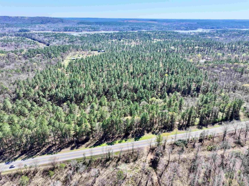 13.02+/- acres located off Highway 70 near Kirby, AR, outside - photo 6