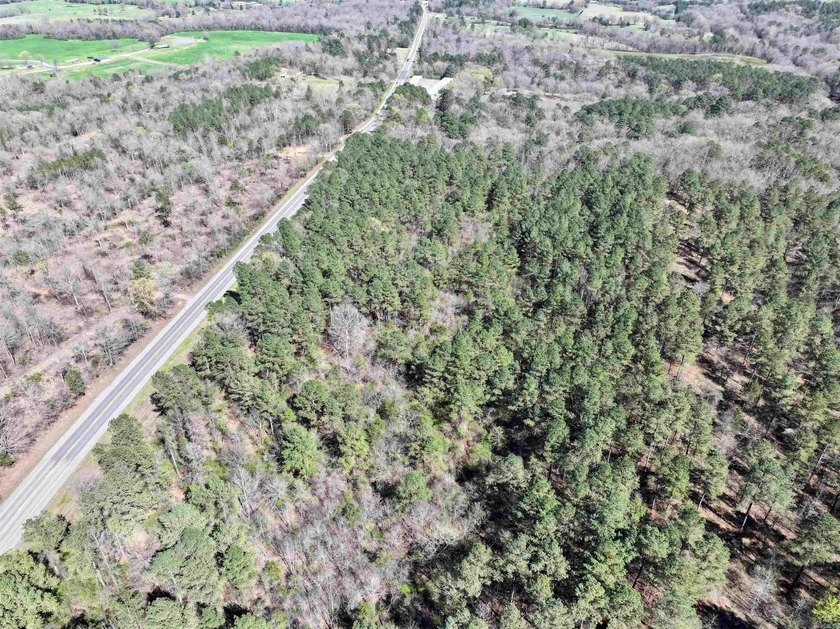 13.02+/- acres located off Highway 70 near Kirby, AR, outside - photo 9
