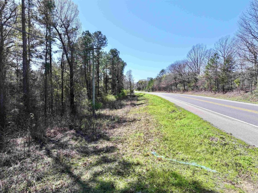 13.02+/- acres located off Highway 70 near Kirby, AR, outside - photo 10
