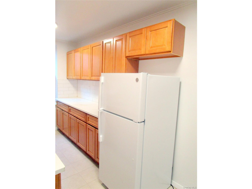 Rare Sponsor One Bedroom Apartment in the Woodlawn Heights - photo 9