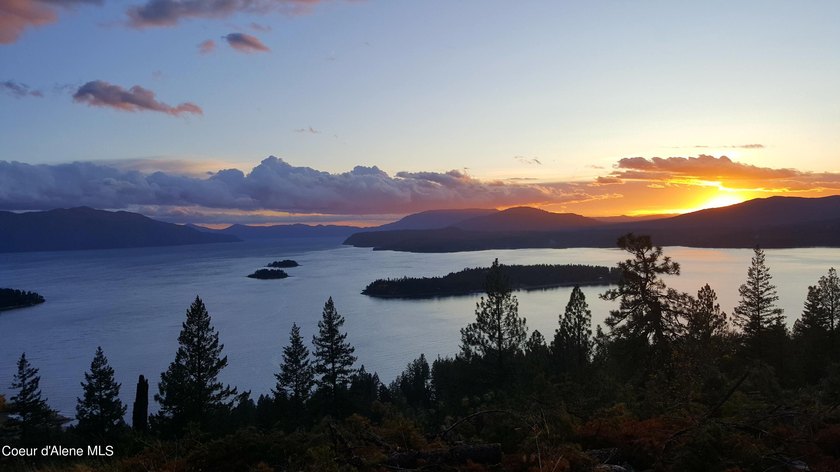 Last lot available!! ABOVE IT ALL! This absolutely stunning - photo 2