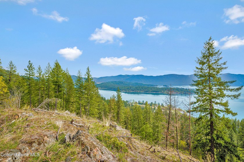 Last lot available!! ABOVE IT ALL! This absolutely stunning - photo 10