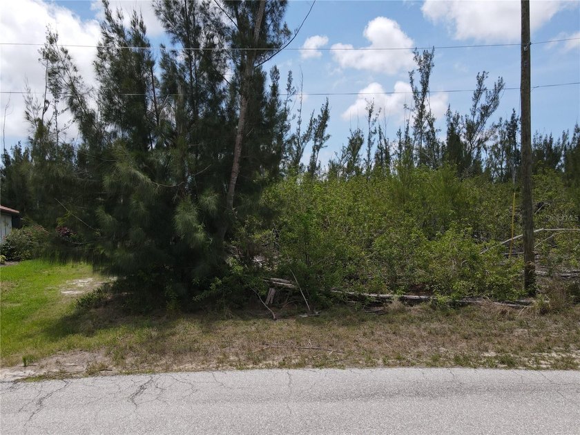 WATERFRONT LOT with SAILBOAT Access - Your Slice of Paradise - photo 4