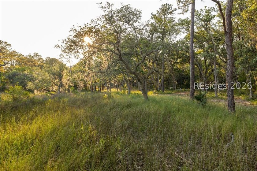 Enjoy waterfront living with a private dock opportunity mere - photo 31