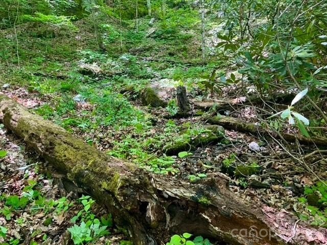 36+ acres of prime acreage in Maggie Valley off of - photo 11