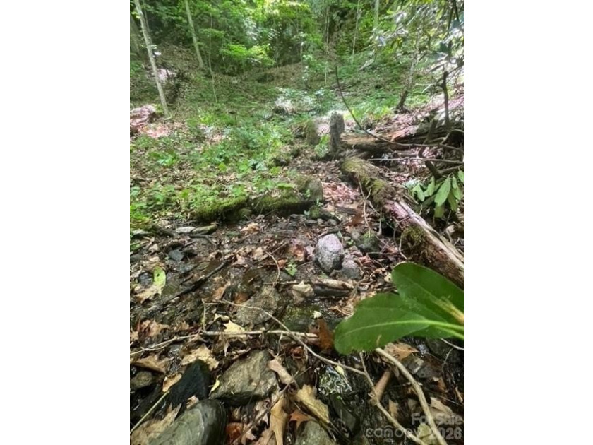36+ acres of prime acreage in Maggie Valley off of - photo 12