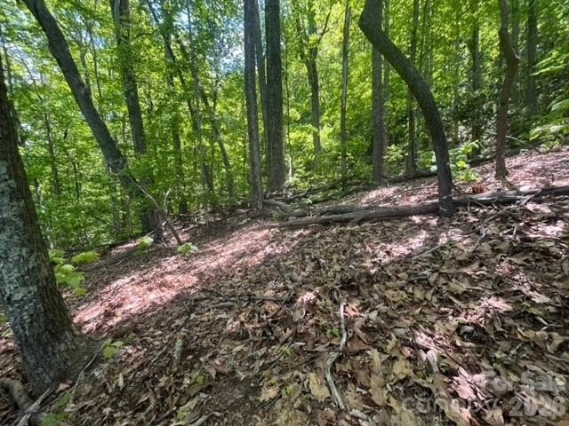 36+ acres of prime acreage in Maggie Valley off of - photo 15