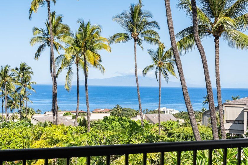 The Ultimate Ocean View You've Been Waiting For at Wailea Ekolu - photo 3