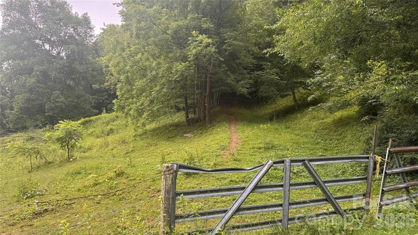 36+ acres of prime acreage in Maggie Valley off of - photo 25