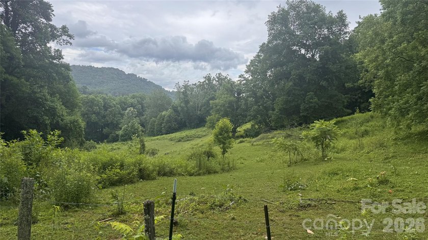36+ acres of prime acreage in Maggie Valley off of - photo 26
