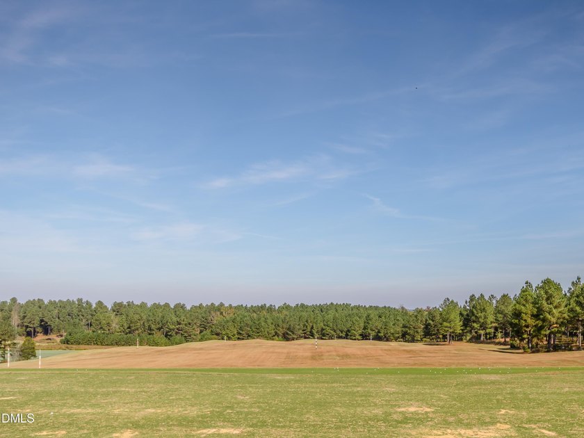 A rare opportunity awaits in the exclusive Estates at Chapel - photo 46
