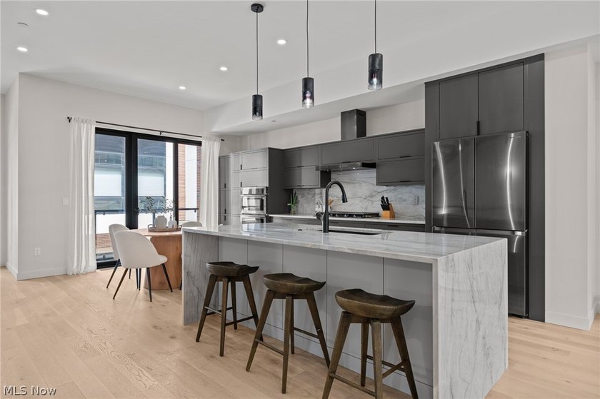 This is your opportunity to own one of Ohio City's most refined - photo 10