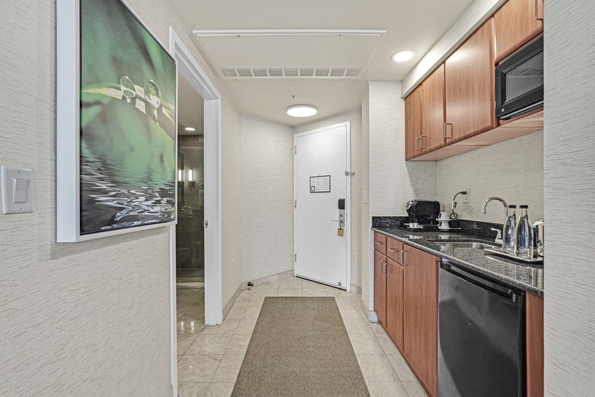 Exceptional opportunity to own a luxury direct oceanfront - photo 20