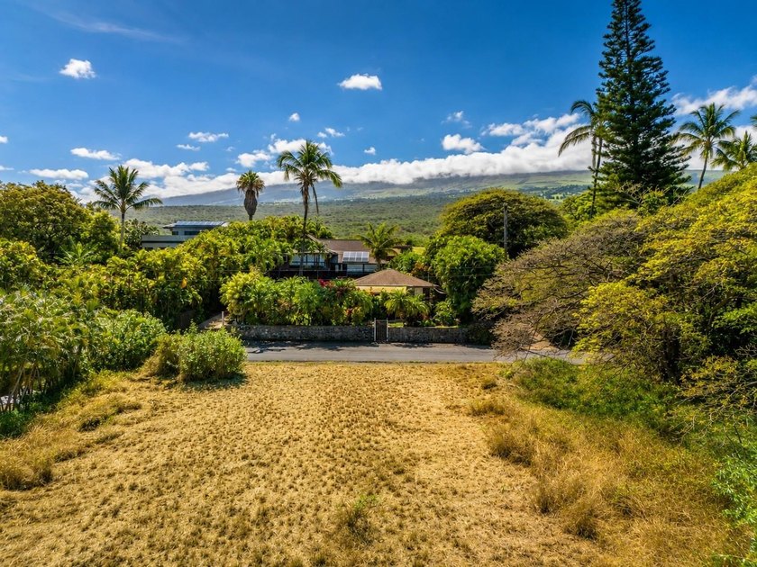 Perched along the coveted uppermost street in the highly - photo 4