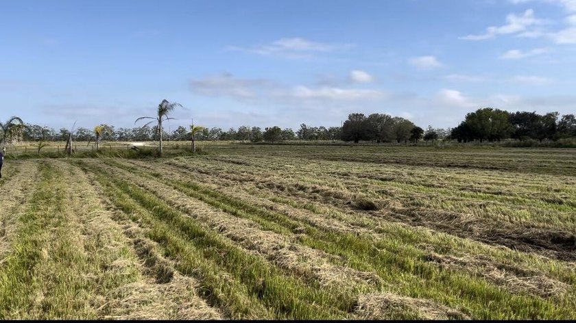 Beautiful 8.7 acres Discover the possibilities with this - photo 2