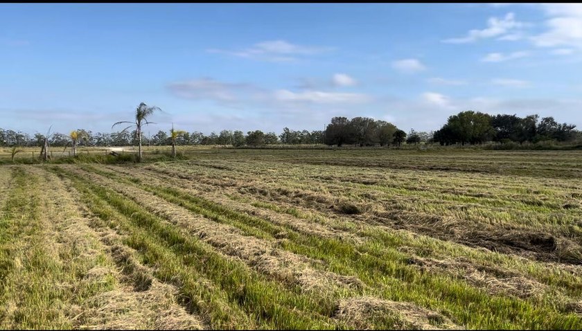 Beautiful 8.7 acres Discover the possibilities with this - photo 3