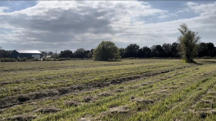 Beautiful 8.7 acres Discover the possibilities with this - photo 4