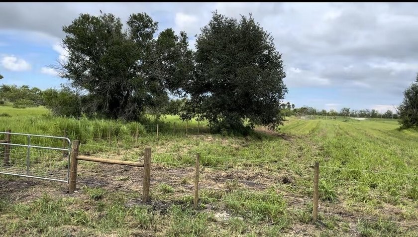 Beautiful 8.7 acres Discover the possibilities with this - photo 6