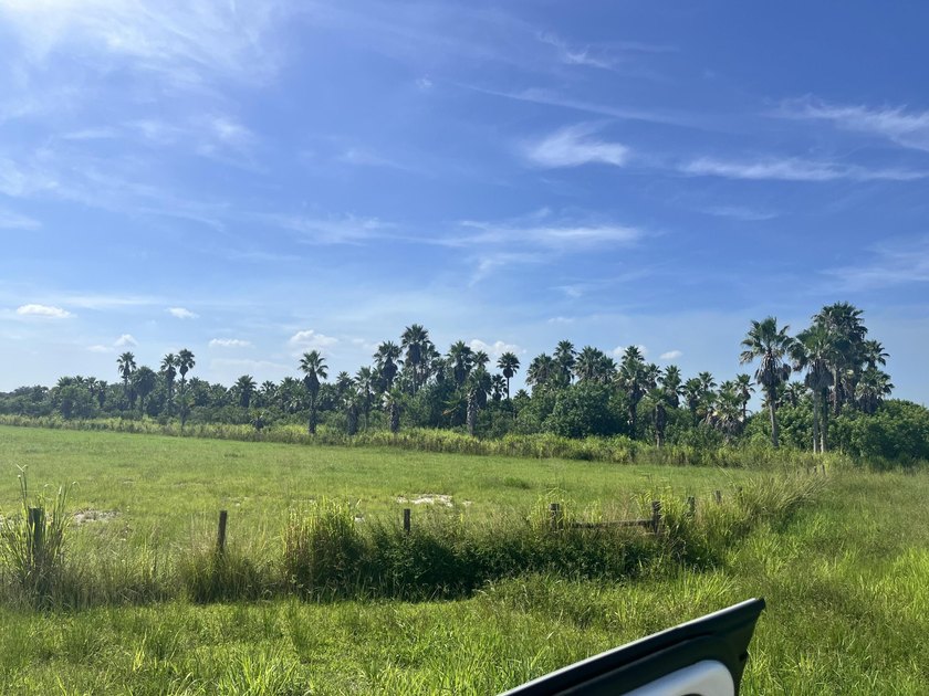Beautiful 8.7 acres Discover the possibilities with this - photo 9