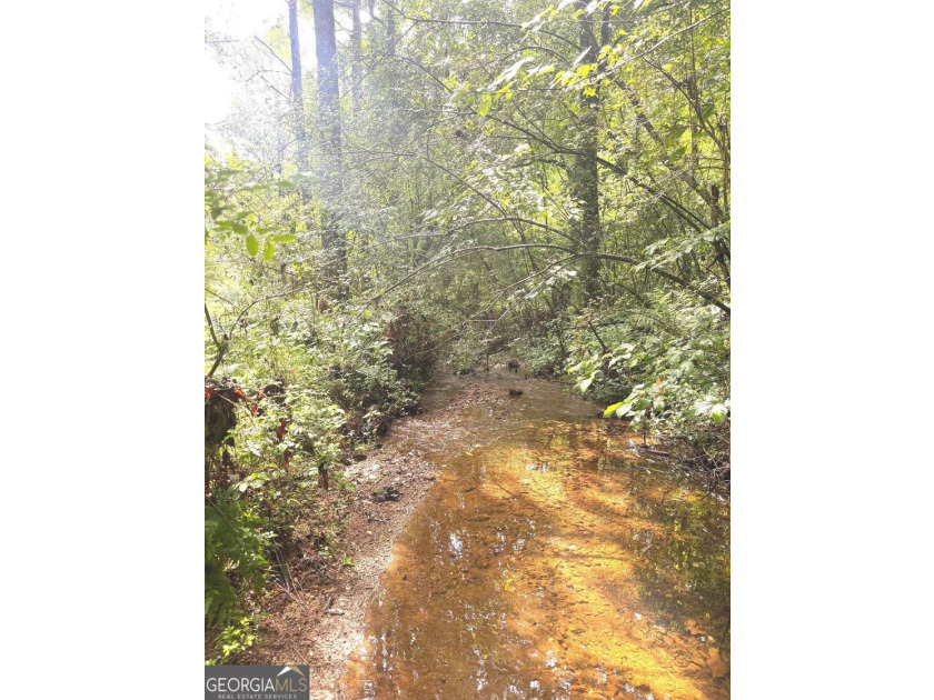 Up to 1,200' in elevation with Stunning views of Pine Log - photo 16