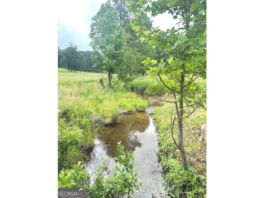 Up to 1,200' in elevation with Stunning views of Pine Log - photo 25