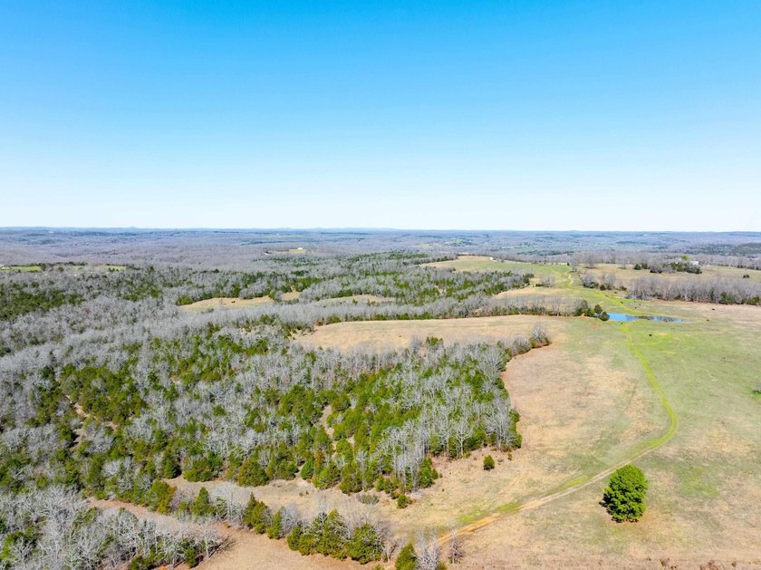 934 +/- Acre Working Cattle Ranch in Baxter County, Arkansas - photo 14