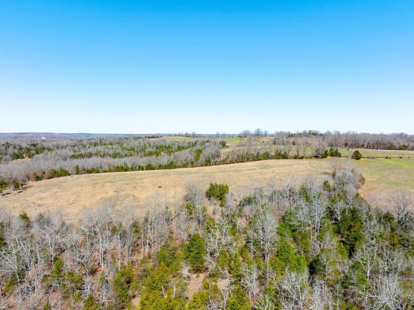 934 +/- Acre Working Cattle Ranch in Baxter County, Arkansas - photo 15