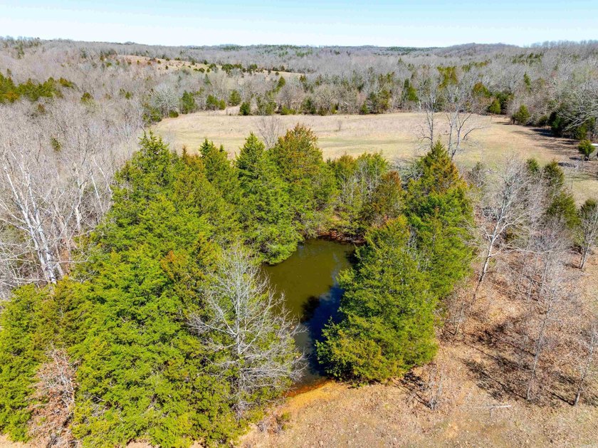 934 +/- Acre Working Cattle Ranch in Baxter County, Arkansas - photo 16