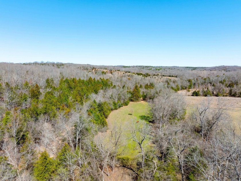 934 +/- Acre Working Cattle Ranch in Baxter County, Arkansas - photo 17