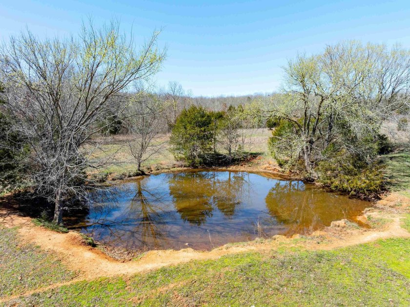934 +/- Acre Working Cattle Ranch in Baxter County, Arkansas - photo 18