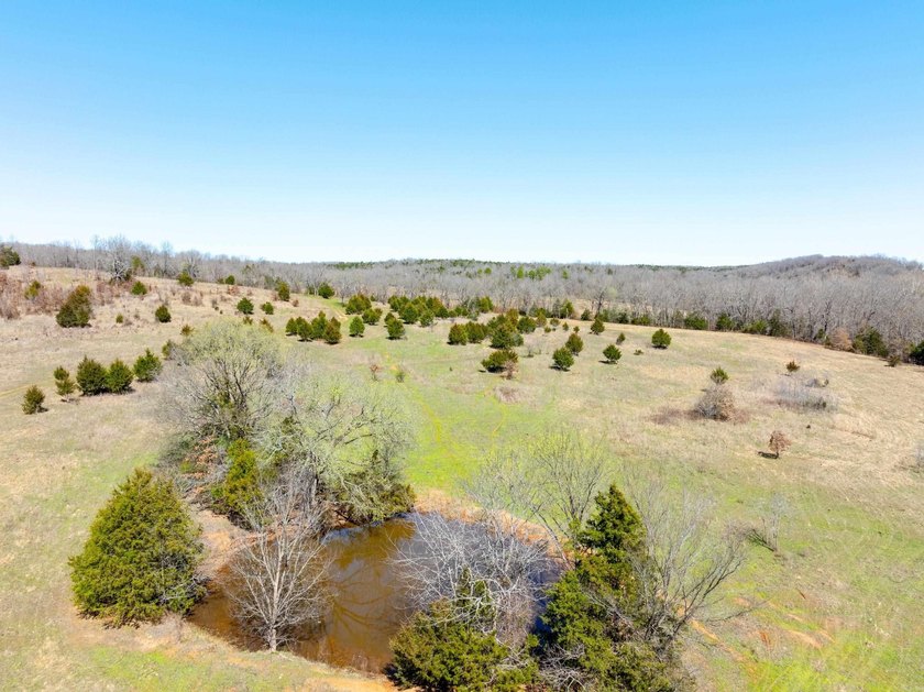 934 +/- Acre Working Cattle Ranch in Baxter County, Arkansas - photo 19