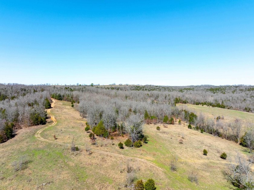 934 +/- Acre Working Cattle Ranch in Baxter County, Arkansas - photo 21