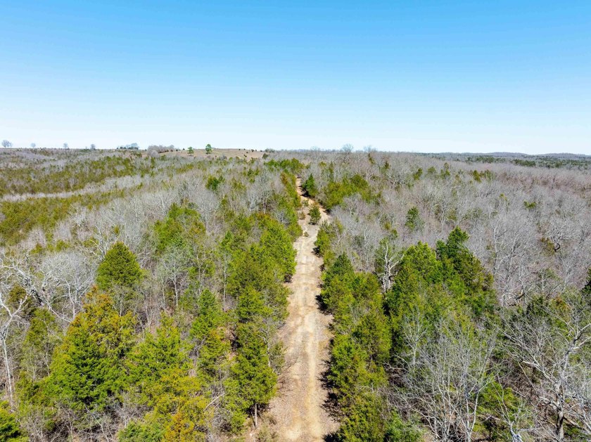 934 +/- Acre Working Cattle Ranch in Baxter County, Arkansas - photo 24