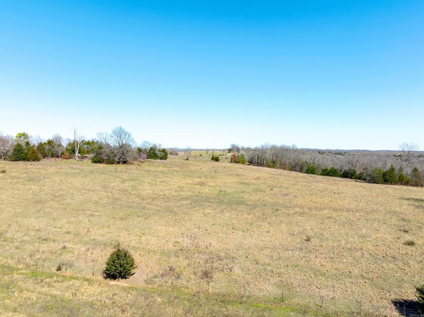 934 +/- Acre Working Cattle Ranch in Baxter County, Arkansas - photo 26