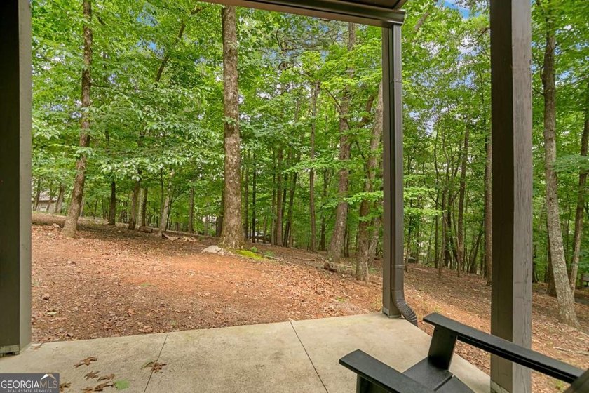We are happy to introduce you to 233 Lone Wolf Trail, one of Big - photo 46