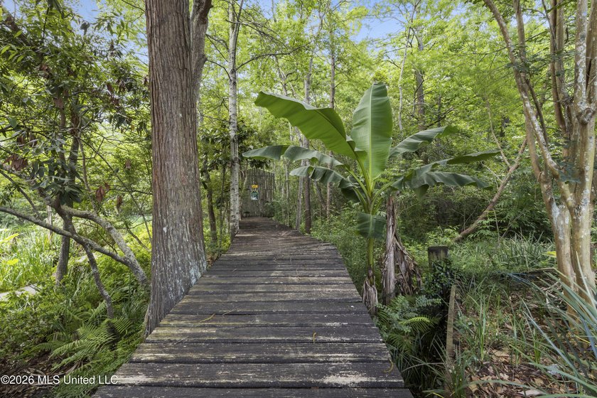 This two-story Coastal Southern Style home is nestled in a - photo 40