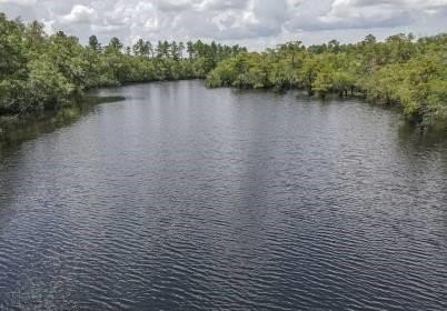 This stunning 7 acre property located within the 2,100 acre - photo 11