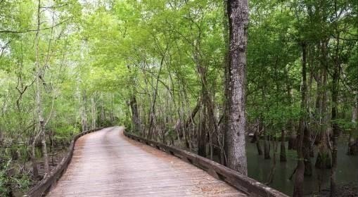 This stunning 7 acre property located within the 2,100 acre - photo 13