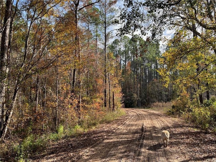 This stunning 7 acre property located within the 2,100 acre - photo 20