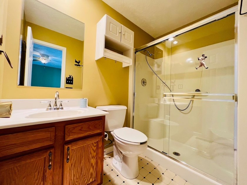 Lake Area 3 Bedroom, 3 Bath House with LARGE Basement Garage - photo 49