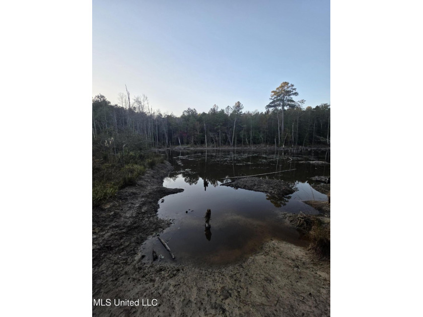 +/-80 Acres - Smith County, MS | Mize School District Located - photo 32