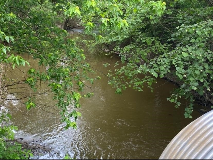 Located on a creek just off the river right down from the boat - photo 11